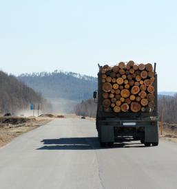 Gozdarske storitve in prevozi hlodovine 