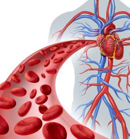 Sodobno celično zdravljenje v Sloveniji