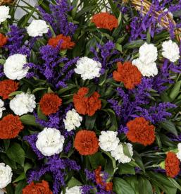 Prodaja cvetlic Zgornje Gorje