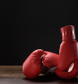 Športna oprema za vse borilne veščine Slovenija