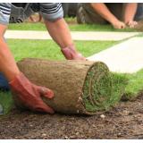 Ginko, urejanje vrtov Marko Andrej s.p.