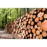 Florjan Fras - nosilec dopolnilne dejavnosti na kmetiji