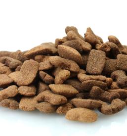 Hrana za male živali Ljubljana