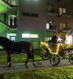 Najem kočije za poroko na Štajerskem