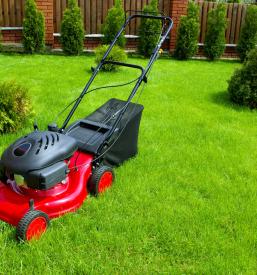 Ureditev okolice hiše