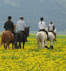 Počitniški tabor jahanja