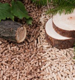 Prodaja in dostava pelet razred A1 