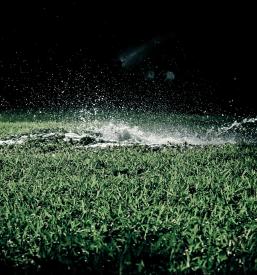 Ugodno Čiščenje okolice Murska Sobota