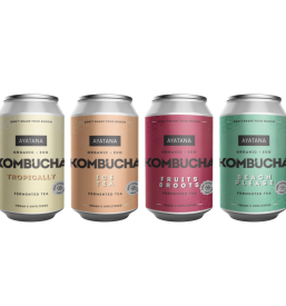 Paket kombuch Slovenija, EU