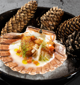 Butična dining restavracija Piran