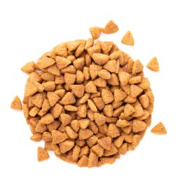 Hrana za pse Ljubljana