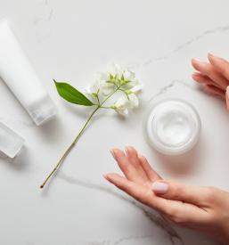 Arnica Montana Maribor