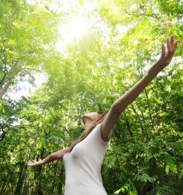 Proizvodi iz origana Slovenija