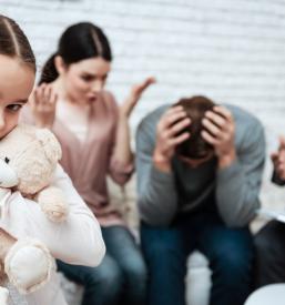 Pedagoško svetovanje Kamnik