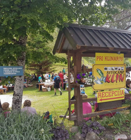 Ugodne sobe za nočitev Lepena, Soča