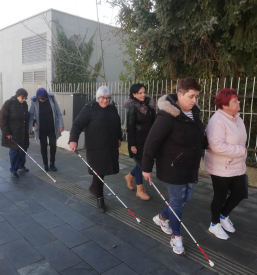 Slepi in slabovidni Murska Sobota