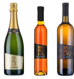 Degustacija vin Primorska