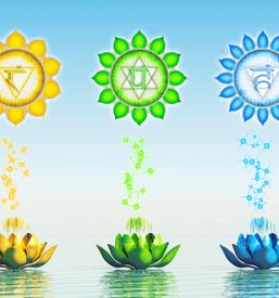 Učinkovita vadba joge Medvode