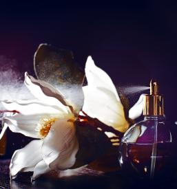 Točeni parfumi Slovenija