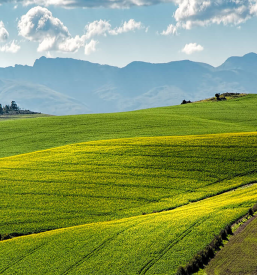 Tabor med počitnicami Ljubljana