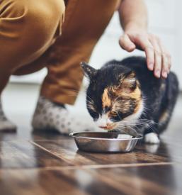 Trgovina za hišne ljubljenčke Ljubljana