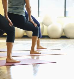 Vinyasa joga prva stopnja Velenje