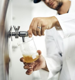 Pridelava kombuche Slovenija, EU