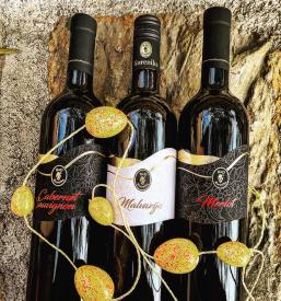 Vrhunsko olivno olje Izola, Primorska