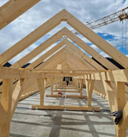 Ugodna izdelava skeletnih konstrukcij Osrednja Slovenija