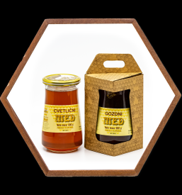 Ugoden domač med Savinjska