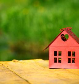 Društvo za ohranjanje narave in varovanje okolja 