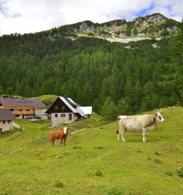 Društvo za ohranjanje narave Posavje