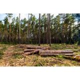 Dragan Matijašić s.p.