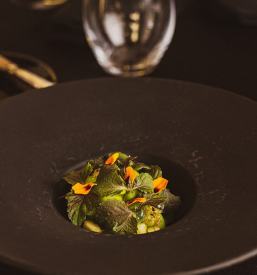 Ponudba sezonskih degustacijskih menijev in veganskih menijev