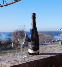 Vrhunska vina Izola, Primorska