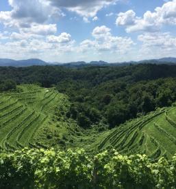 poslovna darila Ptuj