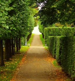 kvalitetno Čiščenje okolice Murska Sobota