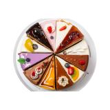 Tortica, Janja Štamcar s.p.