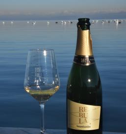 Degustacija penin Primorska