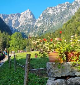 Vpis otrok v vrtec in osnovno šolo