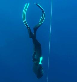 Tečaj podvodnega ribolova 