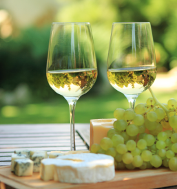 Turizem na kmetiji Primorska