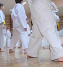 Dober karate klub Kamnik