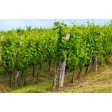 PEPR Posredništvo Peter Prinčič S.p.