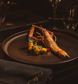 izbor priznanih vin, žganih pijač in cigar