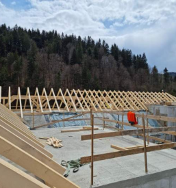 Postavitev skeletnih konstrukcij Osrednja Slovenija