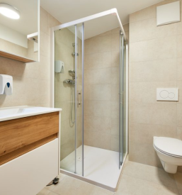 Prodaja vina Zelen in Pinela Vipavska dolina