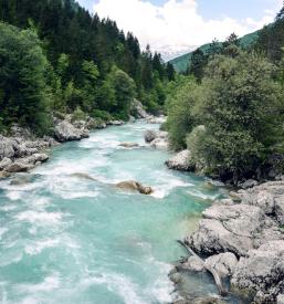 Turistično vodenje Vipava