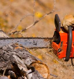 Gozdarske storitve Savinjska