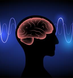 Magnetna terapija Slovenija